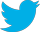 Social icon
